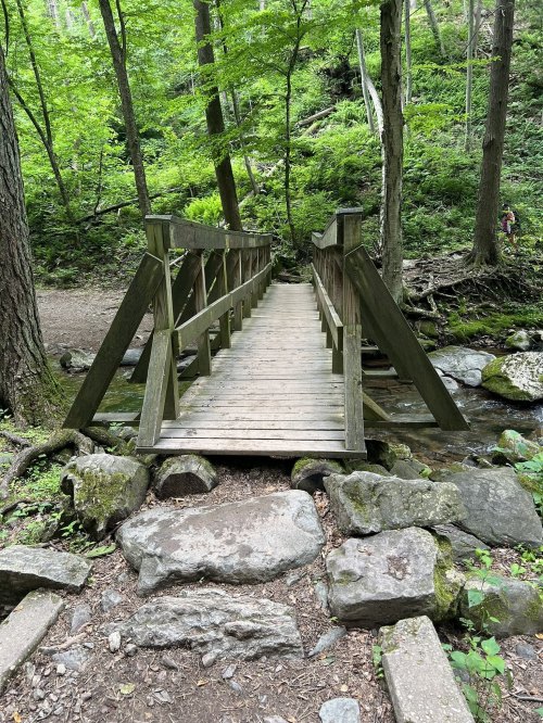 A wooden bridge spans a small stream, surrounded by lush green trees and rocky terrain.