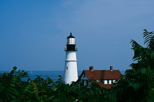 A white lighthouse with a black top stands near the ocean, surrounded by greenery and a house with a red roof.