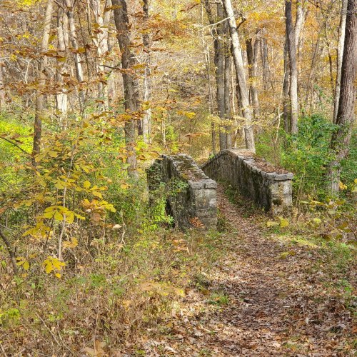 A stone bridge surrounded by autumn foliage and a winding path through a forest.