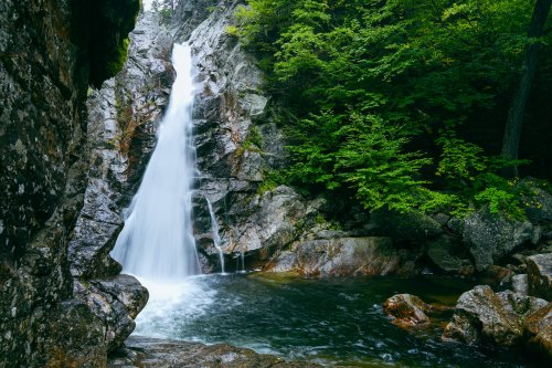 A serene waterfall cascades over rocky cliffs into a tranquil pool, surrounded by lush green foliage.