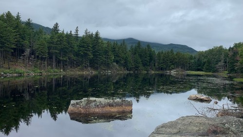 A serene lake surrounded by tall pine trees and mountains, with a cloudy sky reflecting on the water's surface.