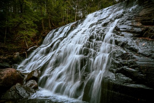 A cascading waterfall flows over dark rocks, surrounded by lush green trees in a serene forest setting.