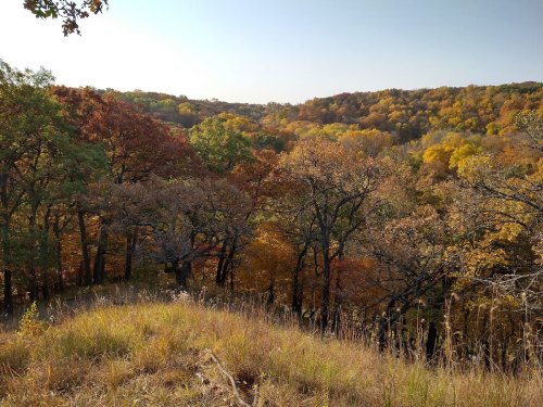 A scenic view of rolling hills covered in autumn foliage, with trees displaying vibrant orange and yellow leaves.