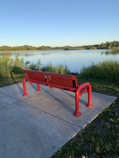 A red bench facing a calm lake, surrounded by greenery under a clear blue sky.