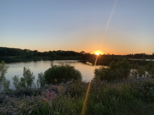 Sunset over a tranquil lake, surrounded by lush greenery and blooming wildflowers.
