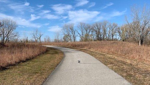 A winding pathway through a grassy area with sparse trees under a blue sky with clouds.