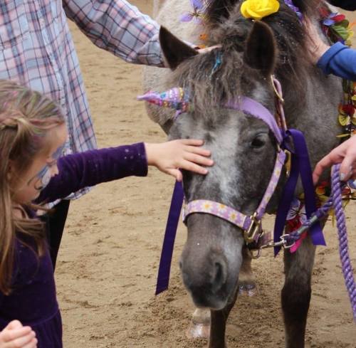 A child gently pets a decorated pony with a unicorn horn, surrounded by colorful flowers and ribbons.