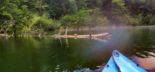 A kayak floats on calm water, with a log and lush greenery reflected in the serene surroundings.