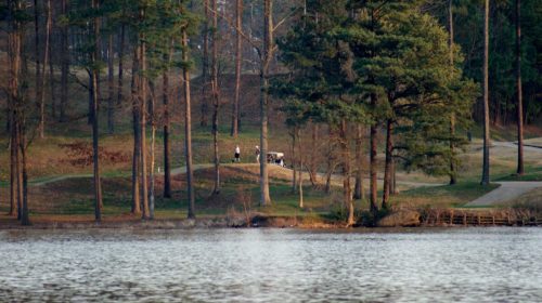 A serene lakeside view with trees, a path, and two people walking near a golf cart in the distance.
