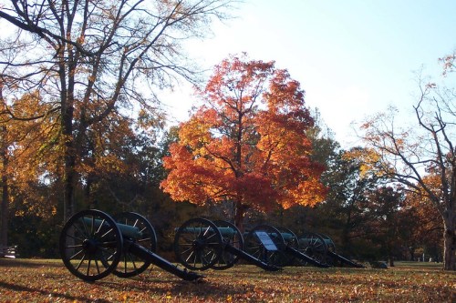 A row of historic cannons in a park, surrounded by vibrant autumn foliage and a clear blue sky.