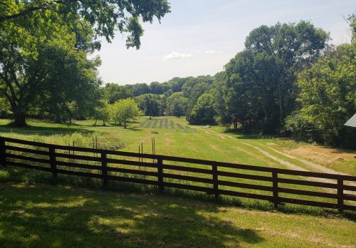 A scenic view of a green field lined with trees and a wooden fence under a clear blue sky.