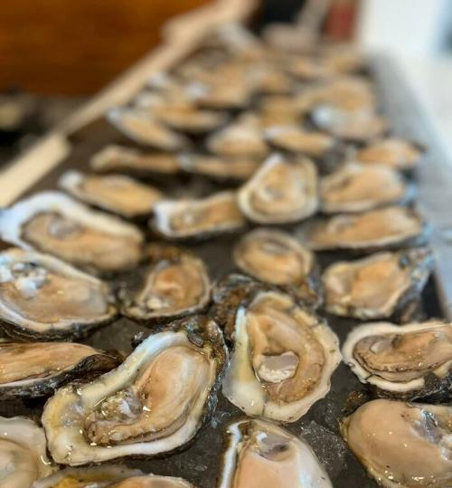 A close-up of freshly shucked oysters arranged on a platter, showcasing their glossy shells and creamy interiors.