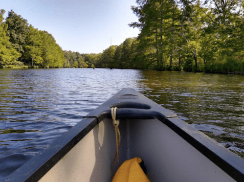 View from the front of a canoe on a calm river, surrounded by lush green trees and clear blue water.