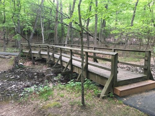 A wooden bridge spans a small stream, surrounded by lush green trees and foliage in a serene forest setting.