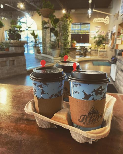 Three coffee cups in a cardboard holder on a wooden table, with a cozy café interior and plants in the background.