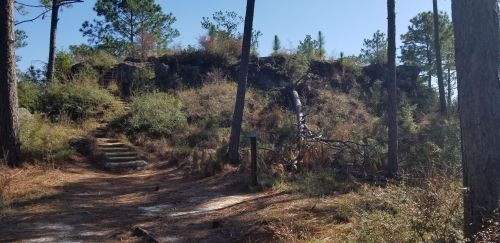 A forested path leads to a rocky outcrop, surrounded by trees and underbrush under a clear blue sky.