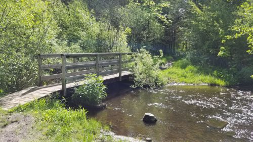 A wooden bridge over a small stream, surrounded by lush greenery and trees in a peaceful natural setting.