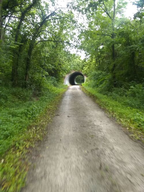 A dirt path leads through a green forest, ending at a large, circular tunnel surrounded by trees.