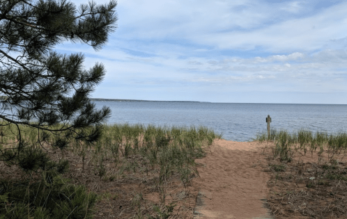 A sandy path leads to a calm lake, framed by grass and pine trees under a cloudy sky.