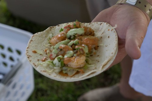 A hand holding a tortilla filled with shrimp, lettuce, and a drizzle of sauce, set against a blurred background.