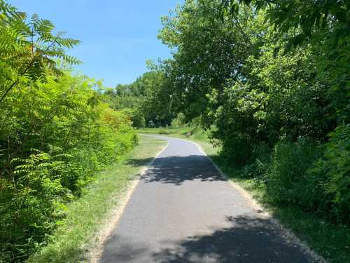 A paved path winds through lush greenery under a clear blue sky.