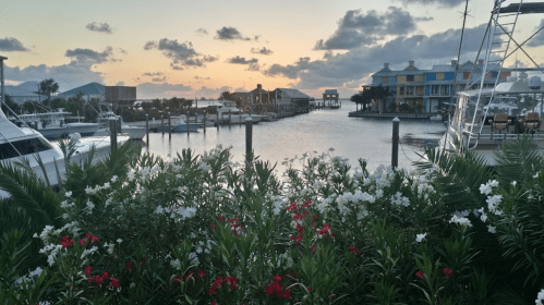 A serene marina at sunset, with boats docked and vibrant flowers in the foreground.