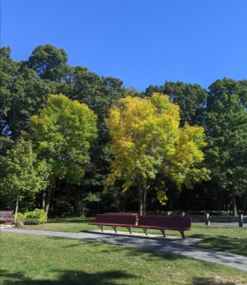 A park scene featuring green and yellow trees, benches along a path, and a clear blue sky.