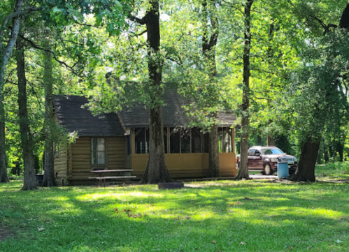 A rustic cabin surrounded by lush green trees and grass, with a car parked nearby.