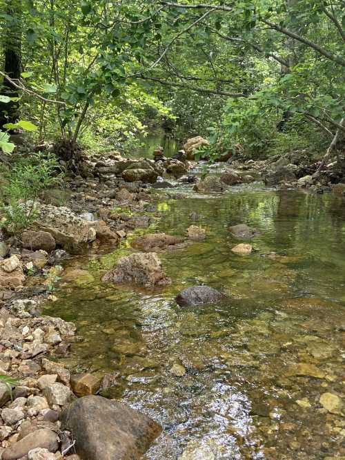 A serene stream flows through a rocky landscape, surrounded by lush green trees and foliage.