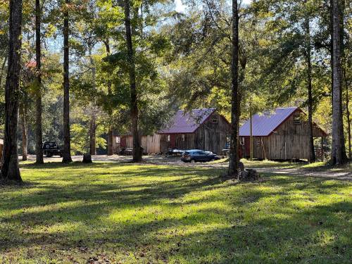 Three rustic cabins with red roofs nestled among tall trees in a sunny, grassy area.