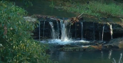 A small waterfall cascades over rocks into a serene pond, surrounded by lush greenery.