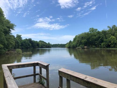 A serene view of a calm river surrounded by lush greenery under a clear blue sky. A wooden dock is in the foreground.
