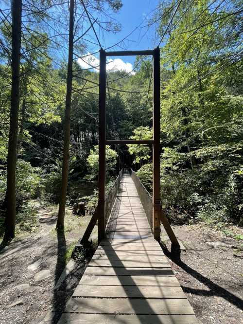 A suspension bridge stretches over a forested area, surrounded by lush green trees and a bright blue sky.