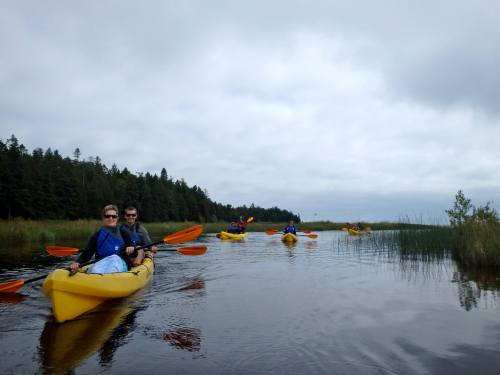 A group of people kayaking in yellow kayaks on a calm lake surrounded by greenery under a cloudy sky.