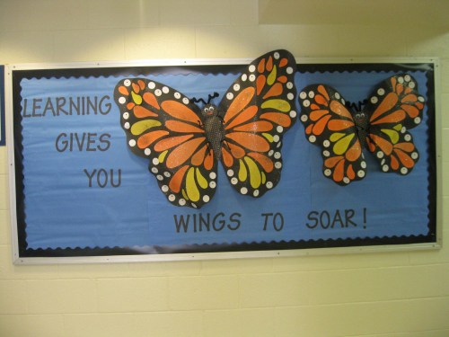 Colorful bulletin board featuring two large butterfly decorations with the text "Learning gives you wings to soar!"