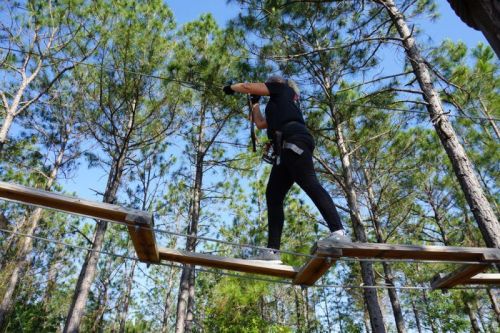 A person balances on a wooden beam high above the ground, surrounded by tall trees and a clear blue sky.
