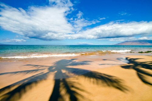 A serene beach scene with palm tree shadows on golden sand, clear blue water, and fluffy clouds in the sky.