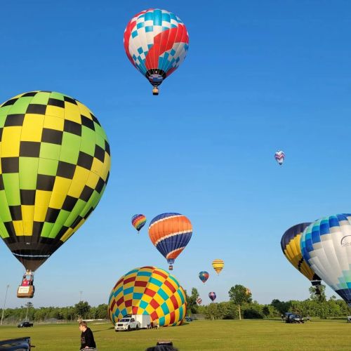 Colorful hot air balloons ascend against a clear blue sky, surrounded by green grass and trees.