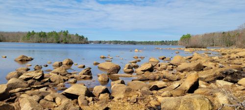 A serene lakeside view with scattered rocks and trees lining the shore under a partly cloudy sky.