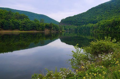 A serene lake surrounded by lush green hills, reflecting the landscape in calm waters under a cloudy sky.
