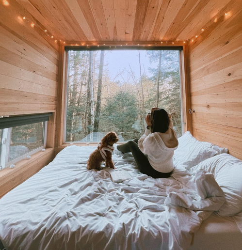 A person sits on a bed with a dog, looking out a large window at a forested view, surrounded by wooden walls.