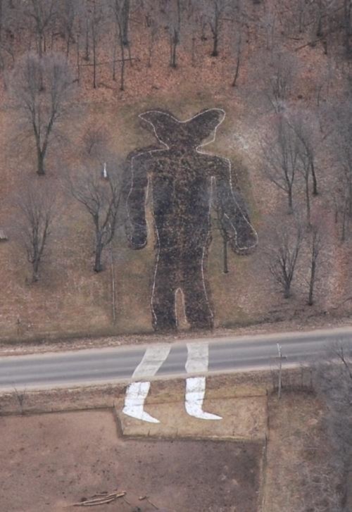 Aerial view of a large, shadowy figure outlined in a field, surrounded by trees and a road.