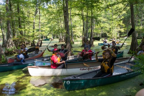 A group of people in canoes paddling through a lush, green swamp surrounded by trees.