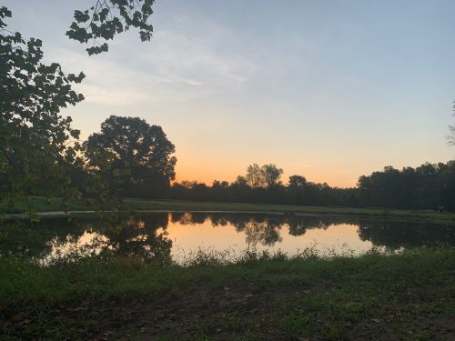 A serene landscape at sunset, featuring a calm pond reflecting trees and a colorful sky.