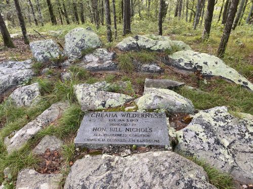 A stone plaque in a forested area, dedicated to Hon. Bill Nichols, marking the Cheaha Wilderness.