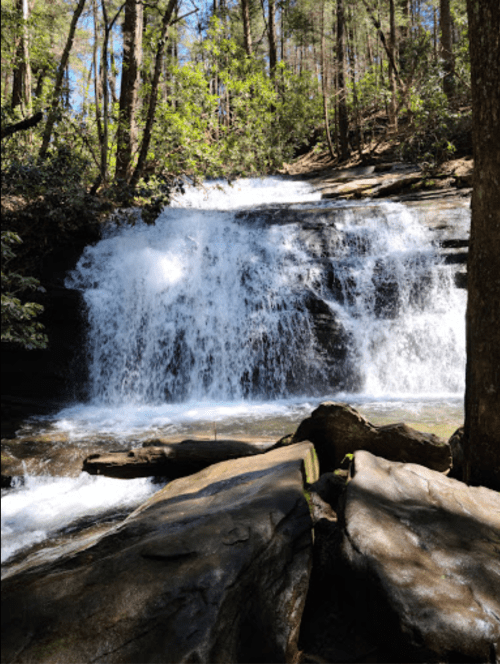 A serene waterfall cascades over rocks, surrounded by lush green trees in a peaceful forest setting.