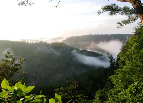 A misty valley surrounded by lush green trees, with sunlight breaking through the clouds in the background.