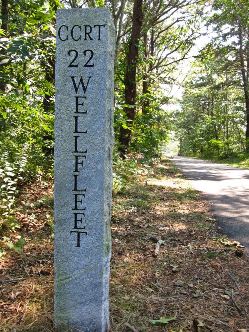 A stone marker on a wooded path, engraved with "CCRT 22 WELLFLEET," surrounded by greenery.