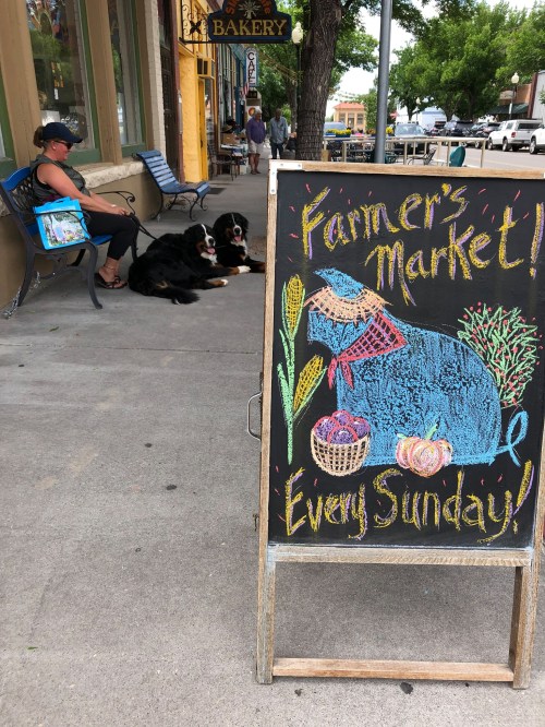 A chalkboard sign for a farmer's market, with a drawing of a dog, beside a person sitting on a bench with two dogs.