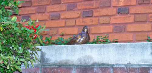 A bronze bird sculpture perched on a stone wall, with a brick background and green foliage nearby.